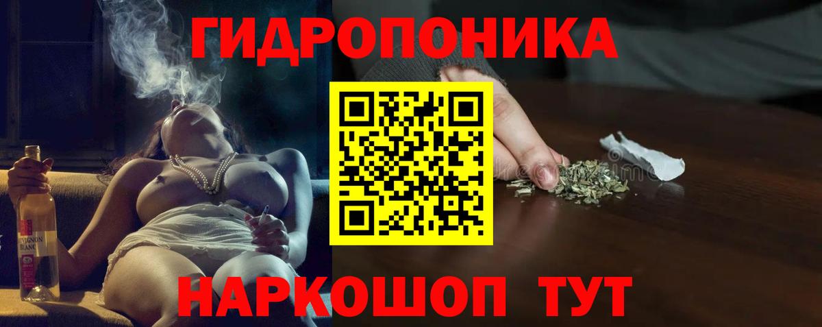 Камышин  Шишки марихуана конопля  Вход с VPN  МАРИХУАНА AK-47  Каннабис White Widow  Конопля White Widow 